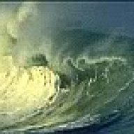 Tide